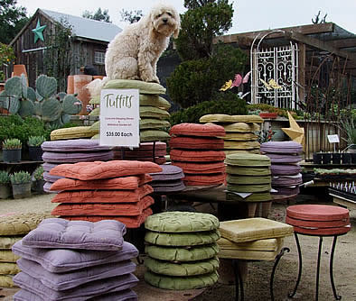 Stacks of colorful Tuffits concrete pillows at the nursery, with a fluffy dog sitting on top
